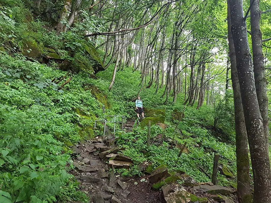 Aufstieg zum Berggasthaus Äscher-Wildkirchli