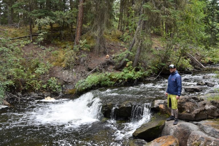 Kleiner Wasserfall im Centennial Park