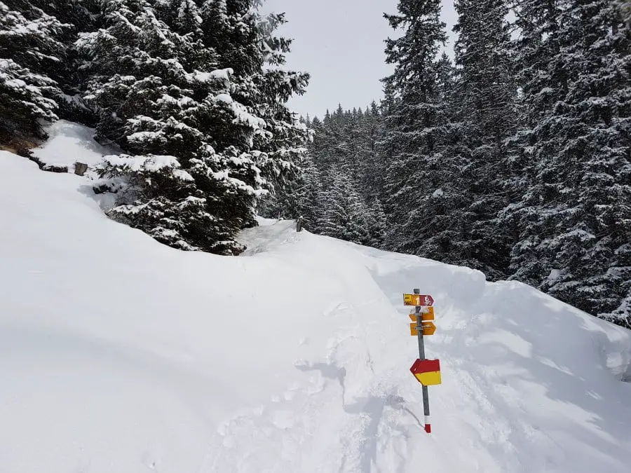 Schneeschuwanderung auf die Alp Flix