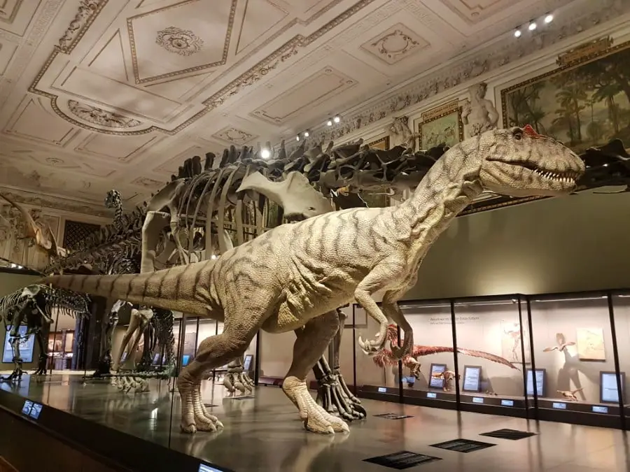 Dinosaurier im Naturhistorischen Museum Wien