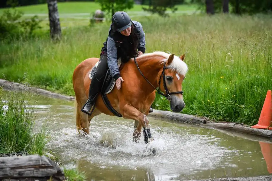 Frau auf einem Pferd reitet durch Wasser